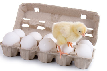 Similar image 694620