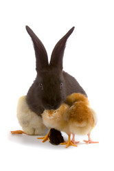 Similar image 694625