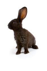 Similar image 694627