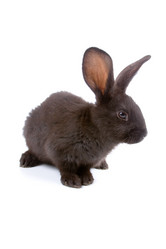 Similar image 694628