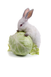 Similar image 694638