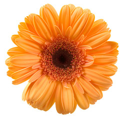 Similar image 694650