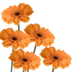 Similar image 694655