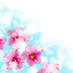 Similar image 694667