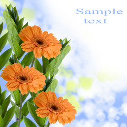 Similar image 694668