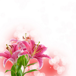 Similar image 694669