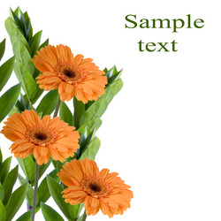 Similar image 694670