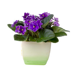 Similar image 694685