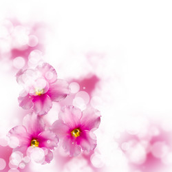 Similar image 694686