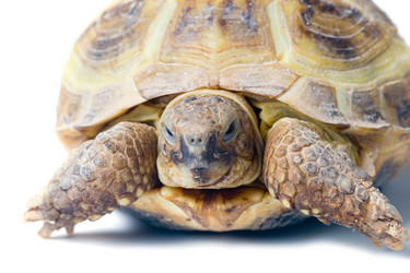 Similar image 694693