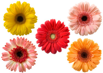 Similar image 694704