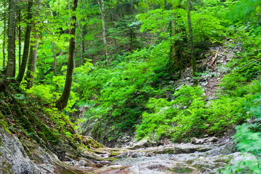 Similar image 694717