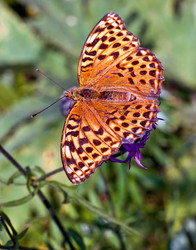 Similar image 694724