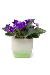 Similar image 694726