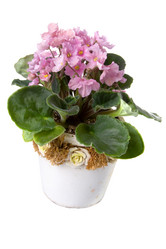 Similar image 694727