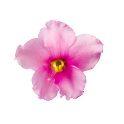 Similar image 694732