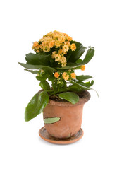 Similar image 694742