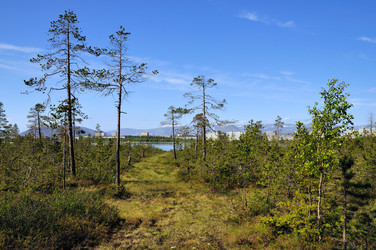 Similar image 694819