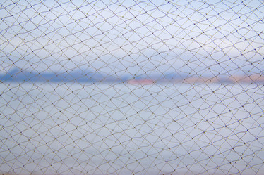 Similar image 694841