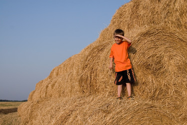 Similar image 694889