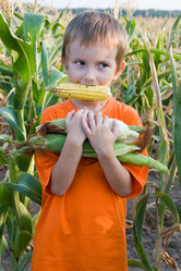 Similar image 694893