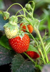 Similar image 694919