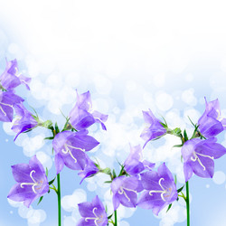 Similar image 694948