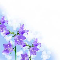 Similar image 694950