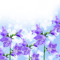 Similar image 694953