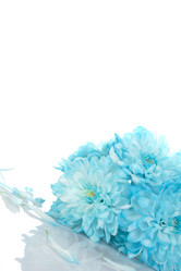 Similar image 694956