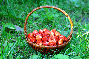 Similar image 694980