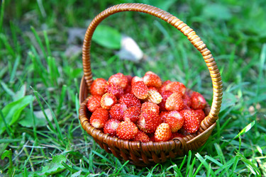 Similar image 694982