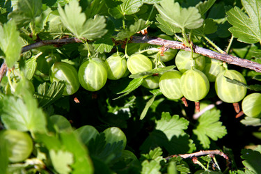 Similar image 695032