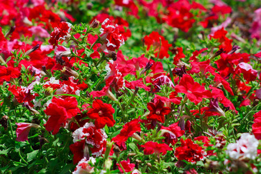 Similar image 695233