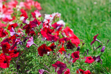 Similar image 695248