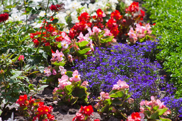 Similar image 695251