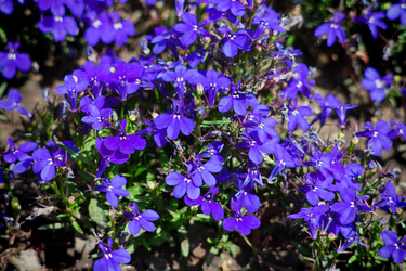 Similar image 695253