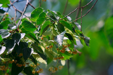 Similar image 695260