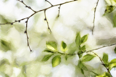 Similar image 695263