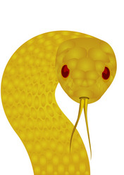 Similar image 695279