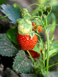 Similar image 695421