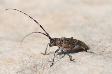 Similar image 695432