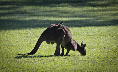 Similar image 695486