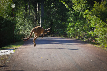 Similar image 695487