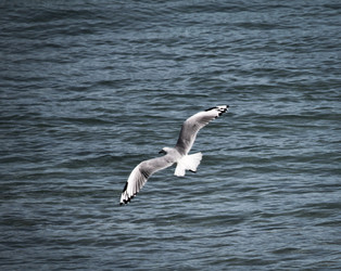 Similar image 695489