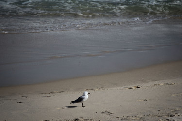 Similar image 695492