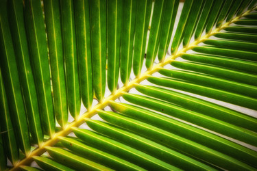 Similar image 695498