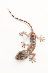 Similar image 695502