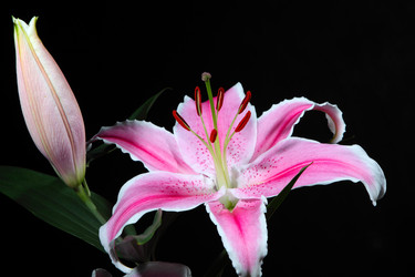 Similar image 695526