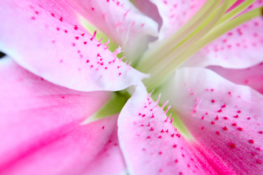 Similar image 695531